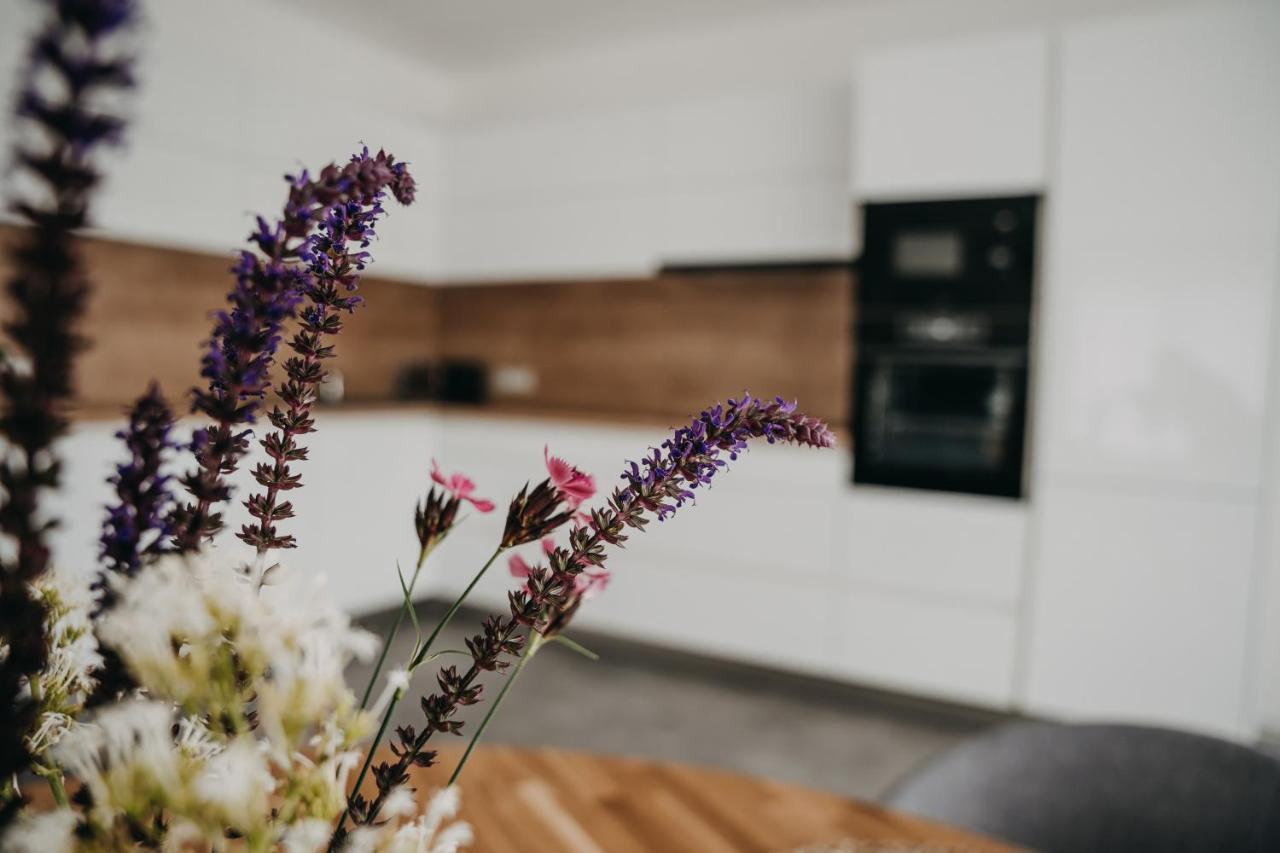 Apartman Usti フラニツェ エクステリア 写真